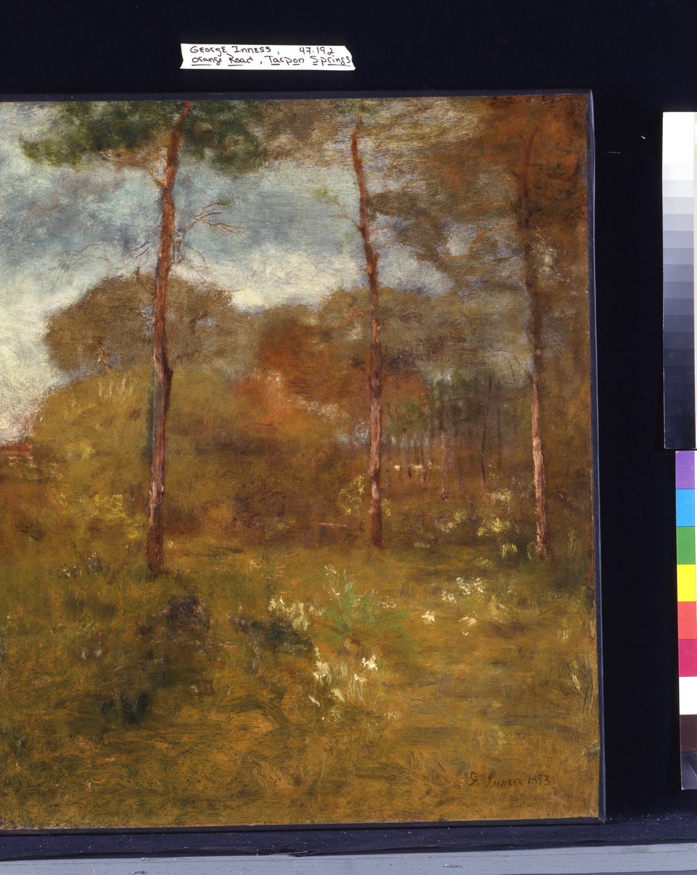 Route Orange, Tarpon Springs - George Snr. Inness