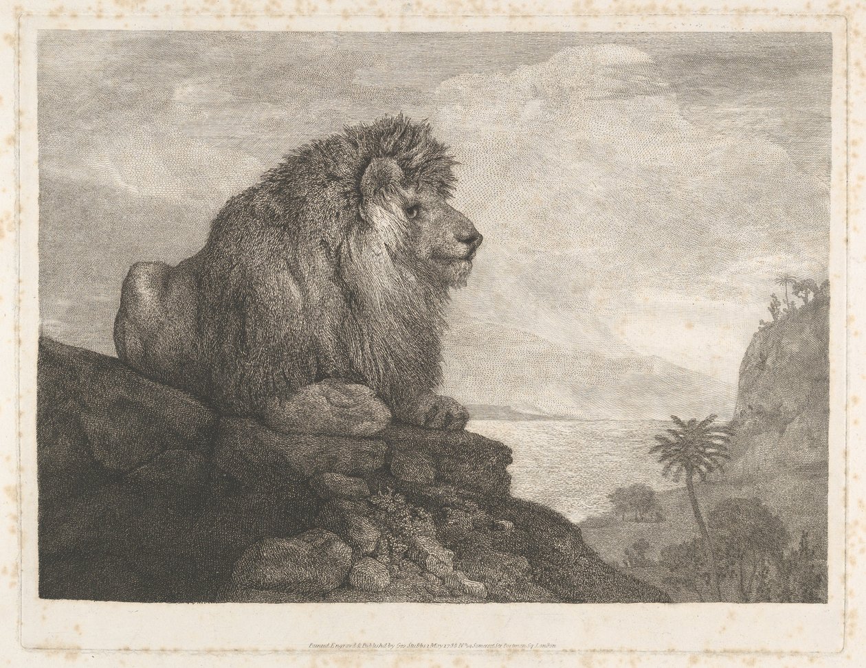 Un lion (un lion se reposant sur un rocher) - George Stubbs