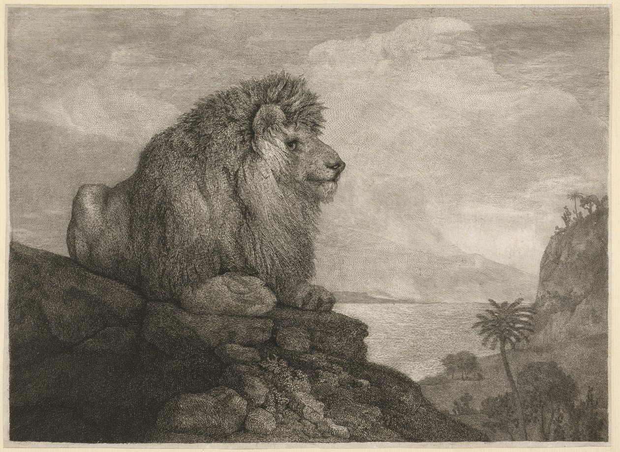 Un lion [Un lion reposant sur un rocher] - George Stubbs