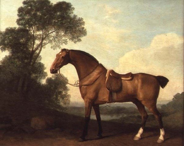 Un chasseur bai sellé dans un paysage avec un lac au-delà - George Stubbs