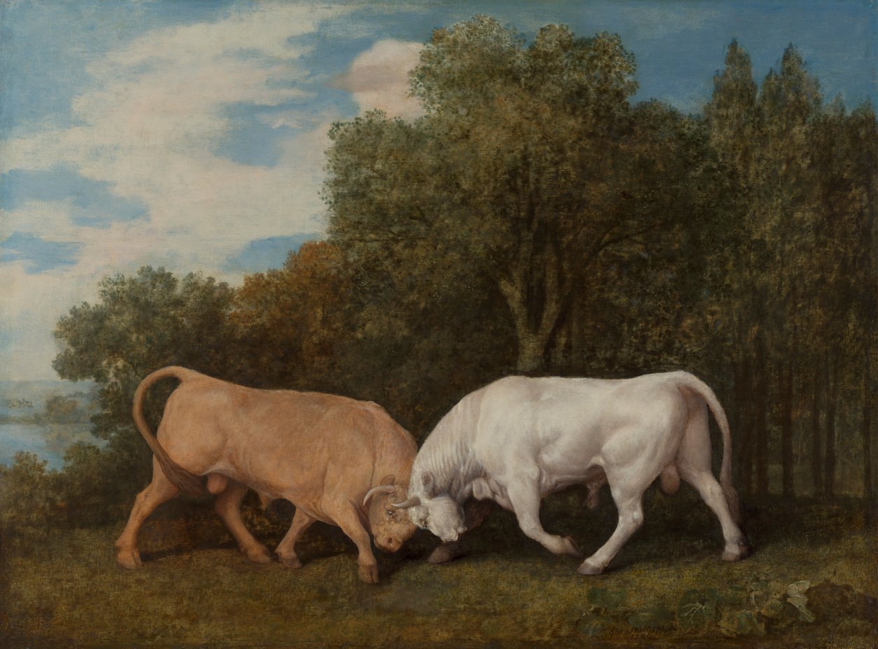 Taureaux en Combat - George Stubbs