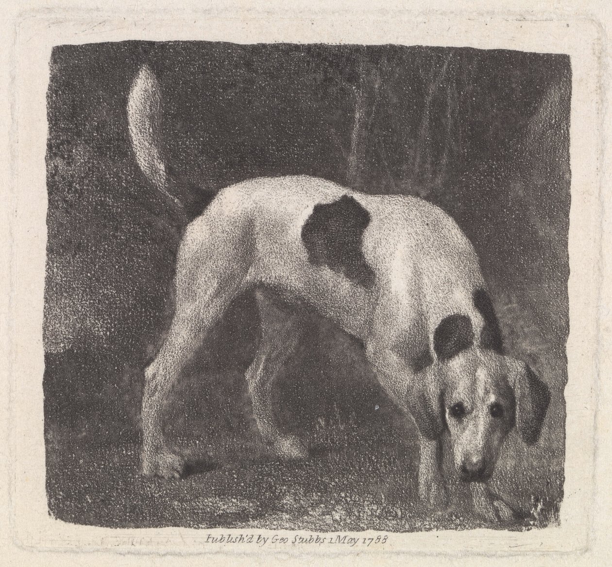 Chien (Un chien de chasse sur la piste) gravé par l