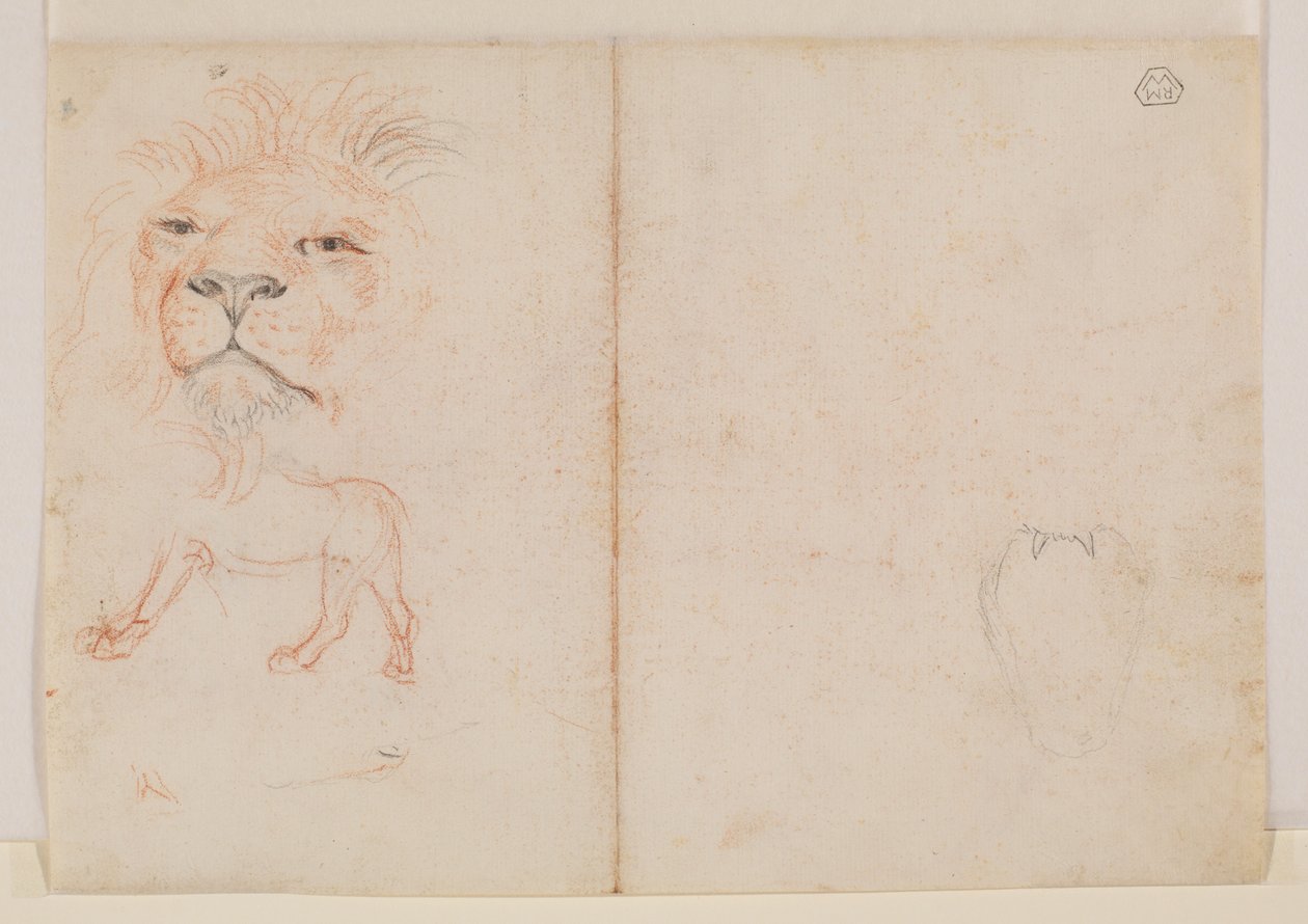 Tête de lion, verso, XVIIIe ou XIXe siècle - George Stubbs