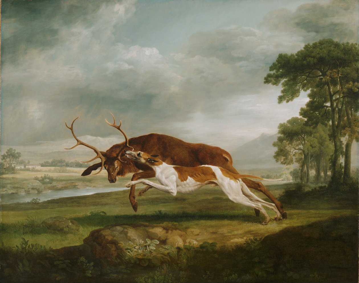 Chien courant sur un cerf - George Stubbs