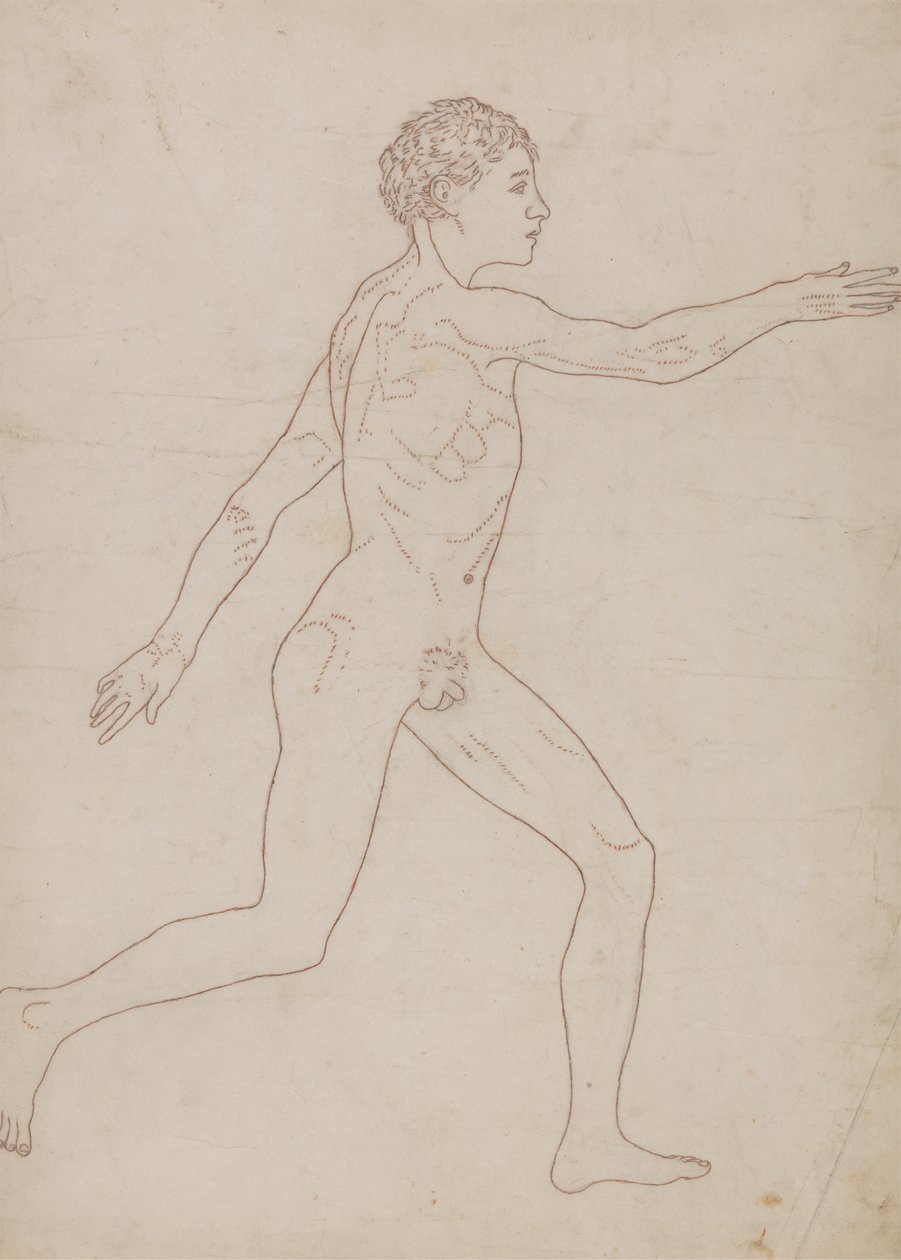 Figure humaine, vue latérale - George Stubbs
