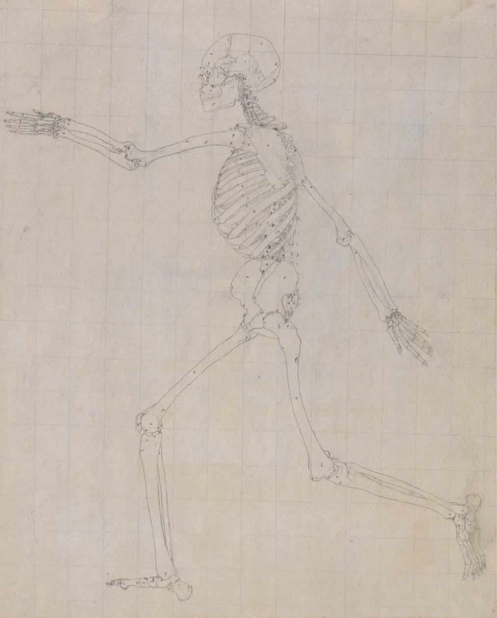 Étude de la Figure Humaine, Vue Latérale, Étude Finie pour la Table III, d