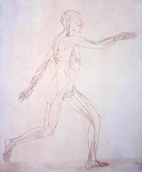 Étude de la figure humaine, vue latérale, d