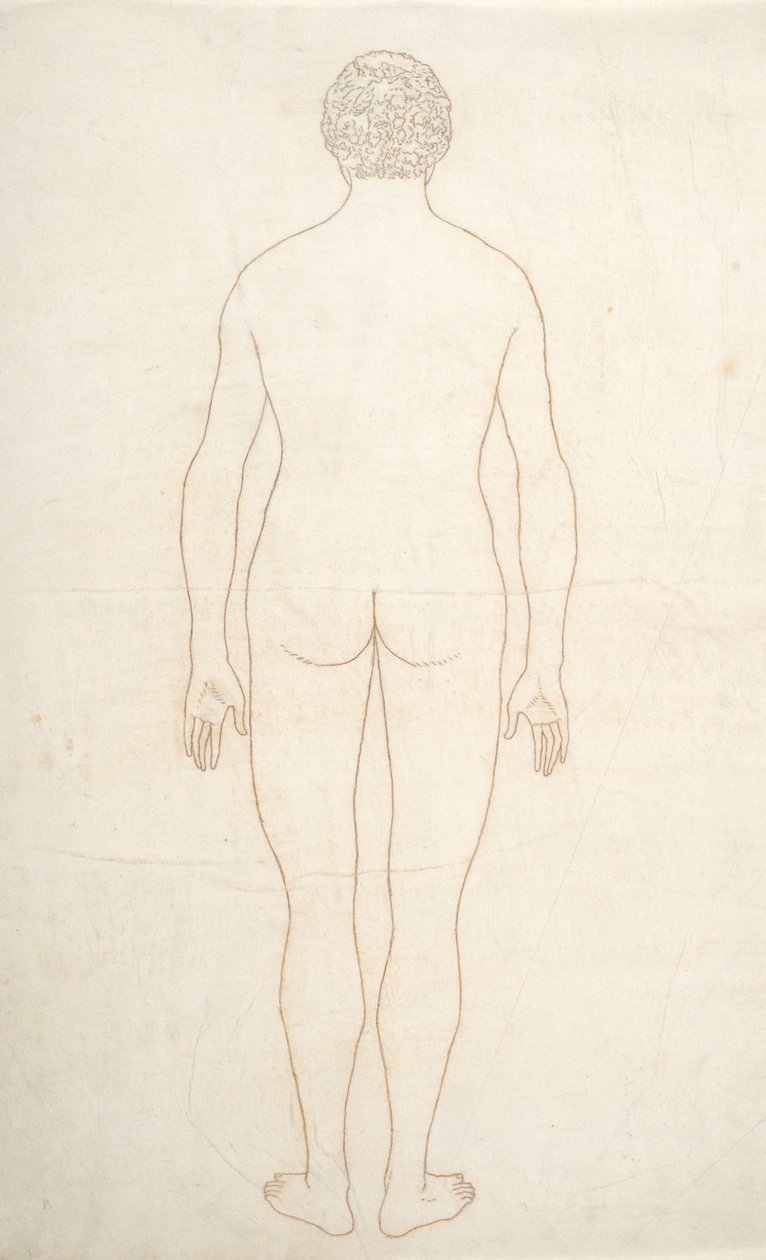 Étude de la figure humaine, vue postérieure, d