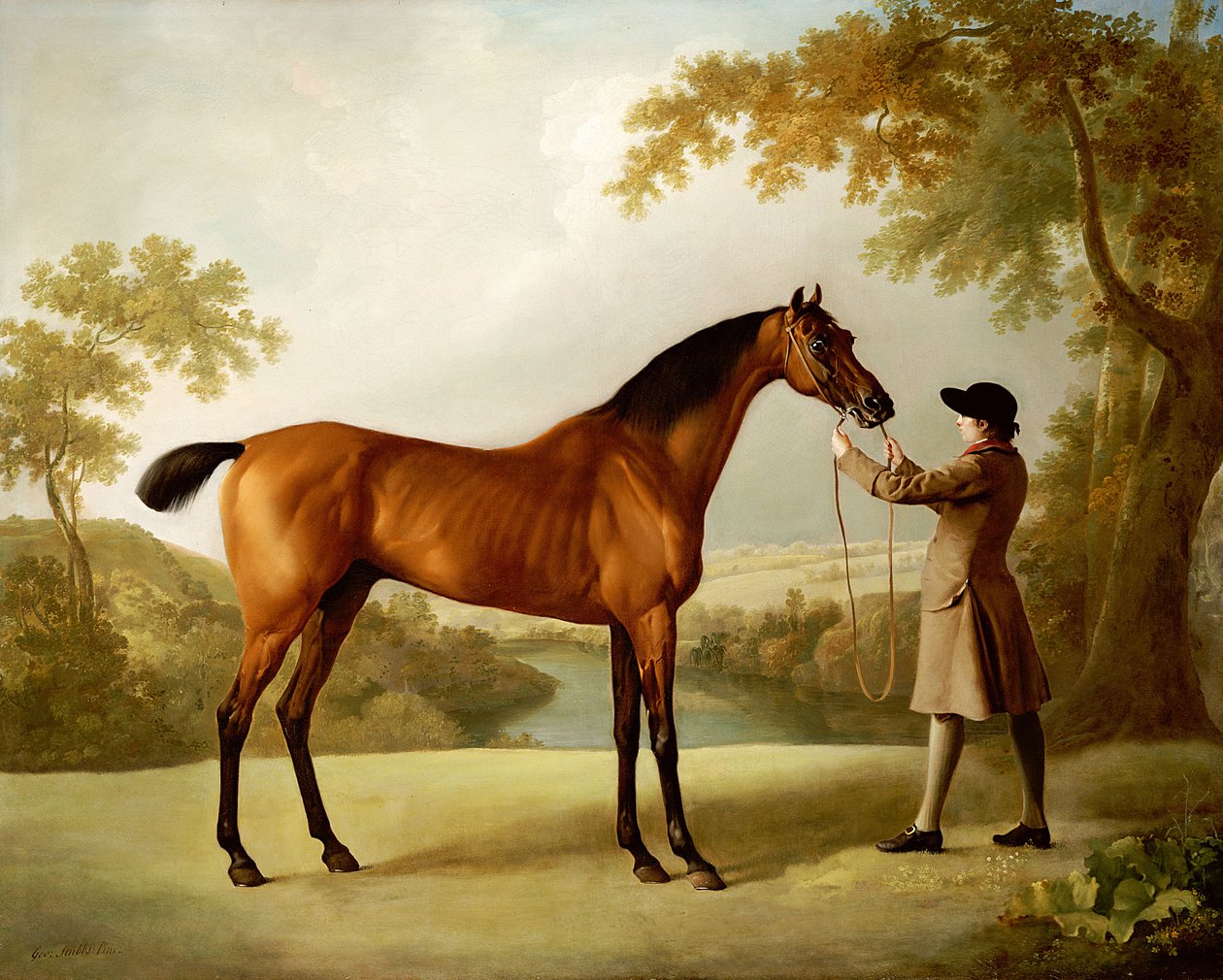 Tristram Shandy, un cheval de course bai tenu par un palefrenier dans un paysage vaste, c.1760 - George Stubbs