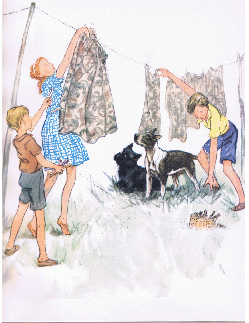Accrocher le linge sur le fil - Nobby le Bull terrier et Ferdinand l