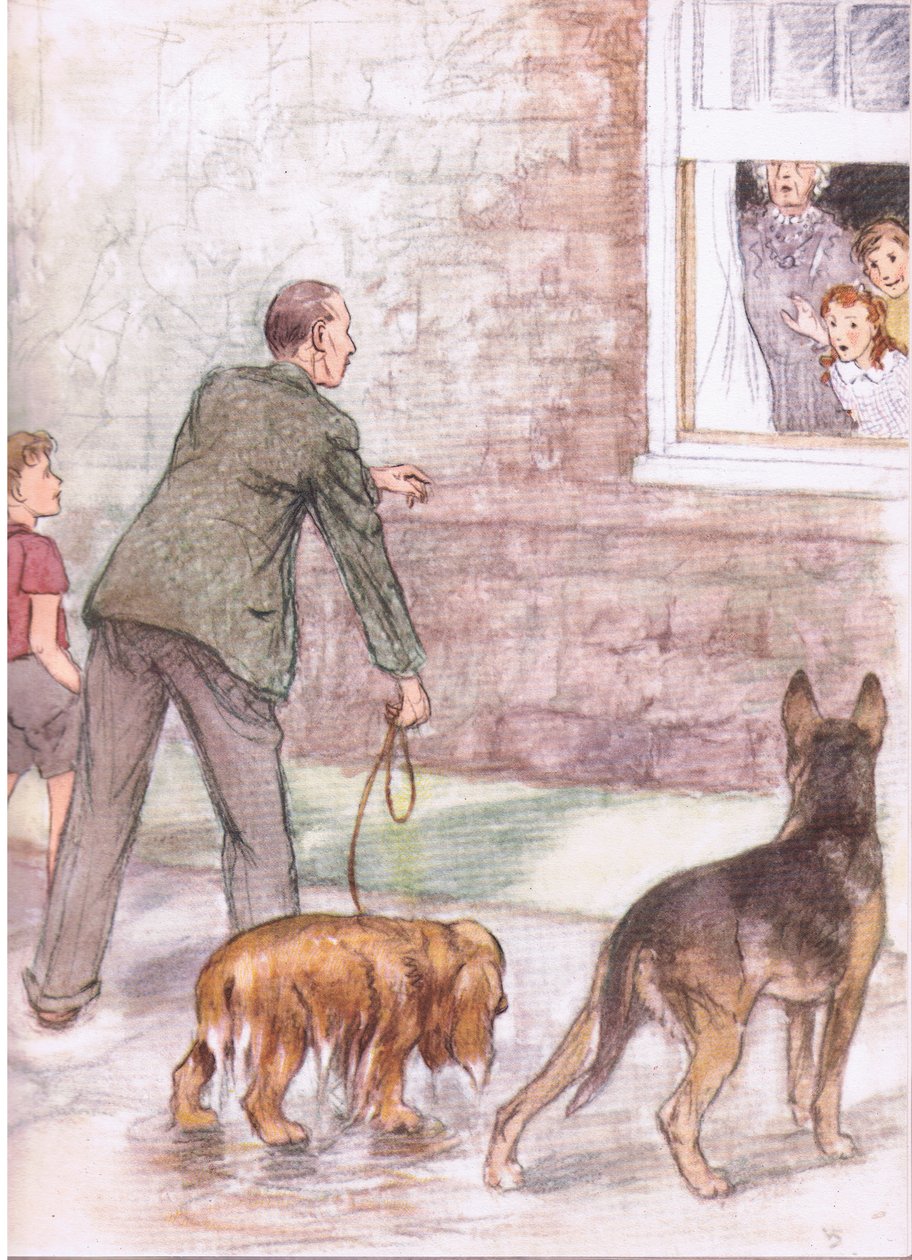 Les épagneuls dégoulinaient de boue et de bave, extrait de Pets Limited publié par Collins - George Vernon Stokes