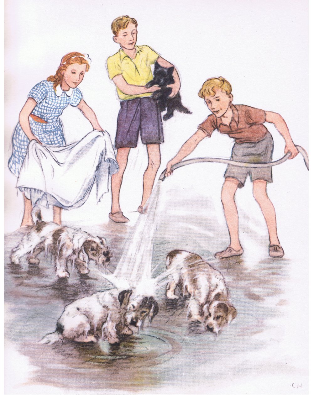 Laver les chiens, tiré de Pets Limited publié par Collins - George Vernon Stokes