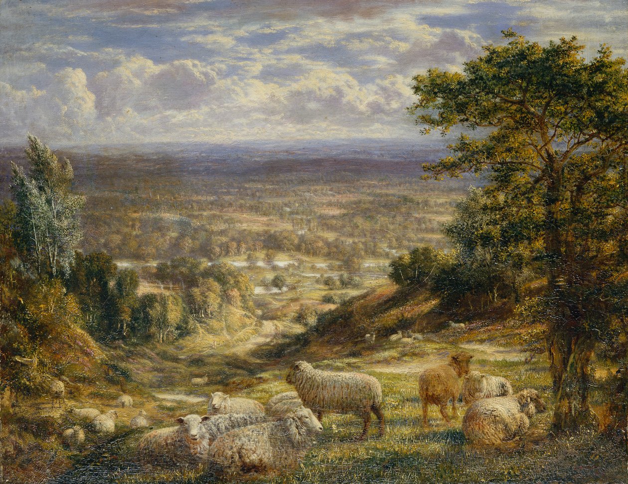 Un paysage d