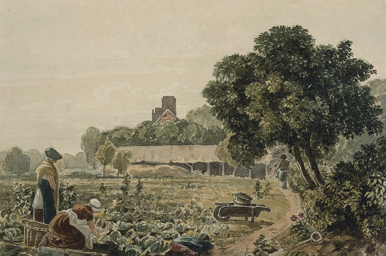Jardin maraîcher à Chelsea - George the Younger Barret