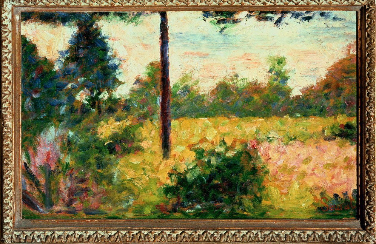 Bois à Barbizon (huile sur toile) - Georges Pierre Seurat