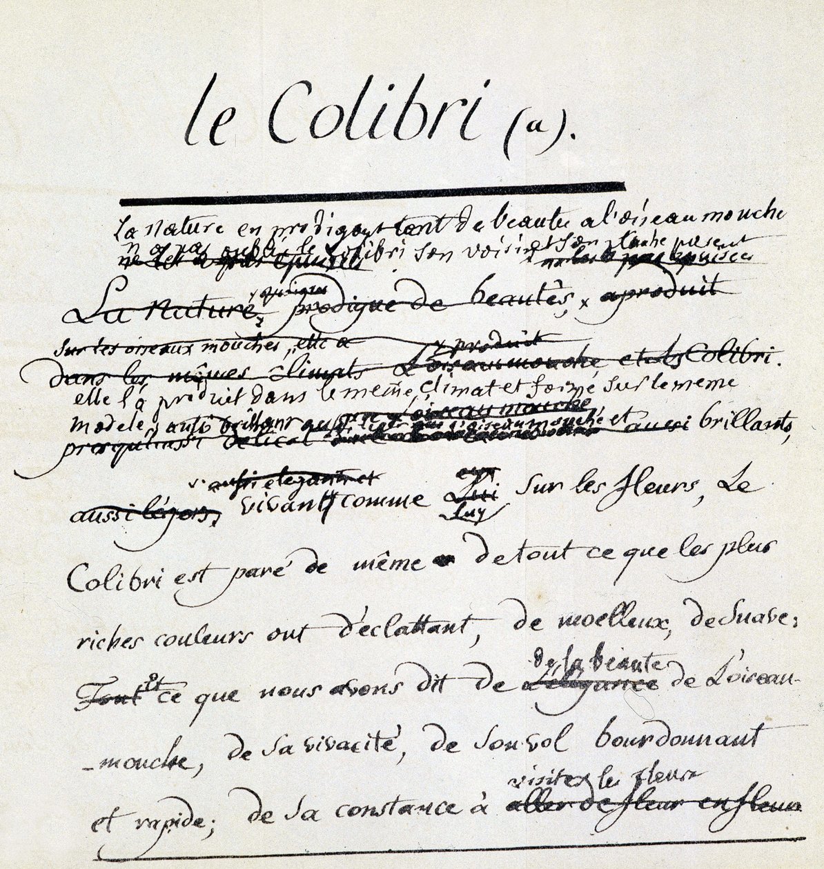 Manuscrit de Buffon sur le Colibri. sd. 18ème siècle - Georges de Buffon