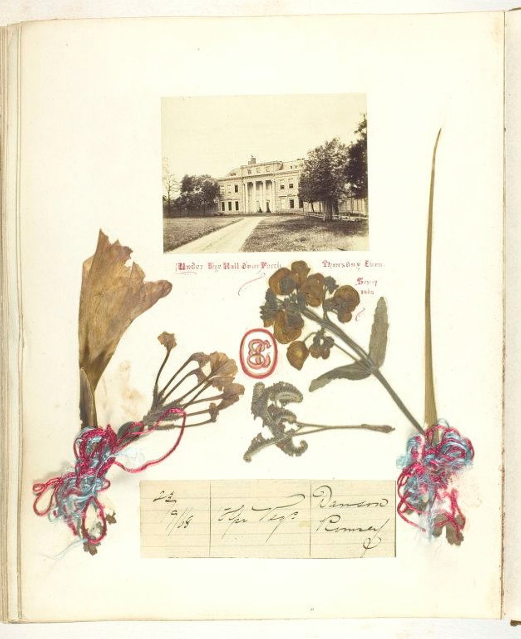 Sans titre [vue de Broadlands avec fleurs séchées], 1868 - Georgina Cowper