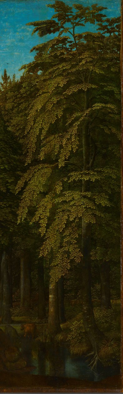 Äußere rechte Flügel eines Triptychons mit Blick in einen Wald - Gerard David