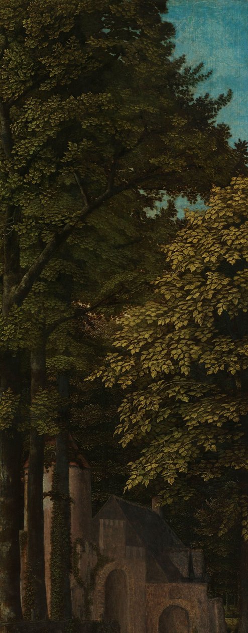 Vue dans une forêt, aile extérieure gauche d