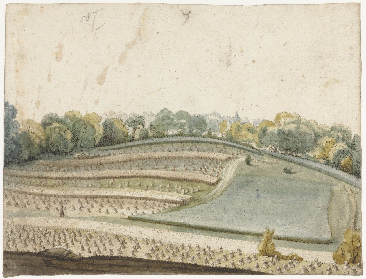 Panorama d