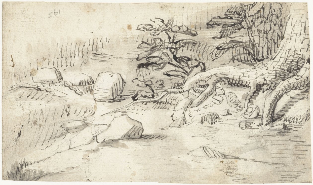 Étude des racines d