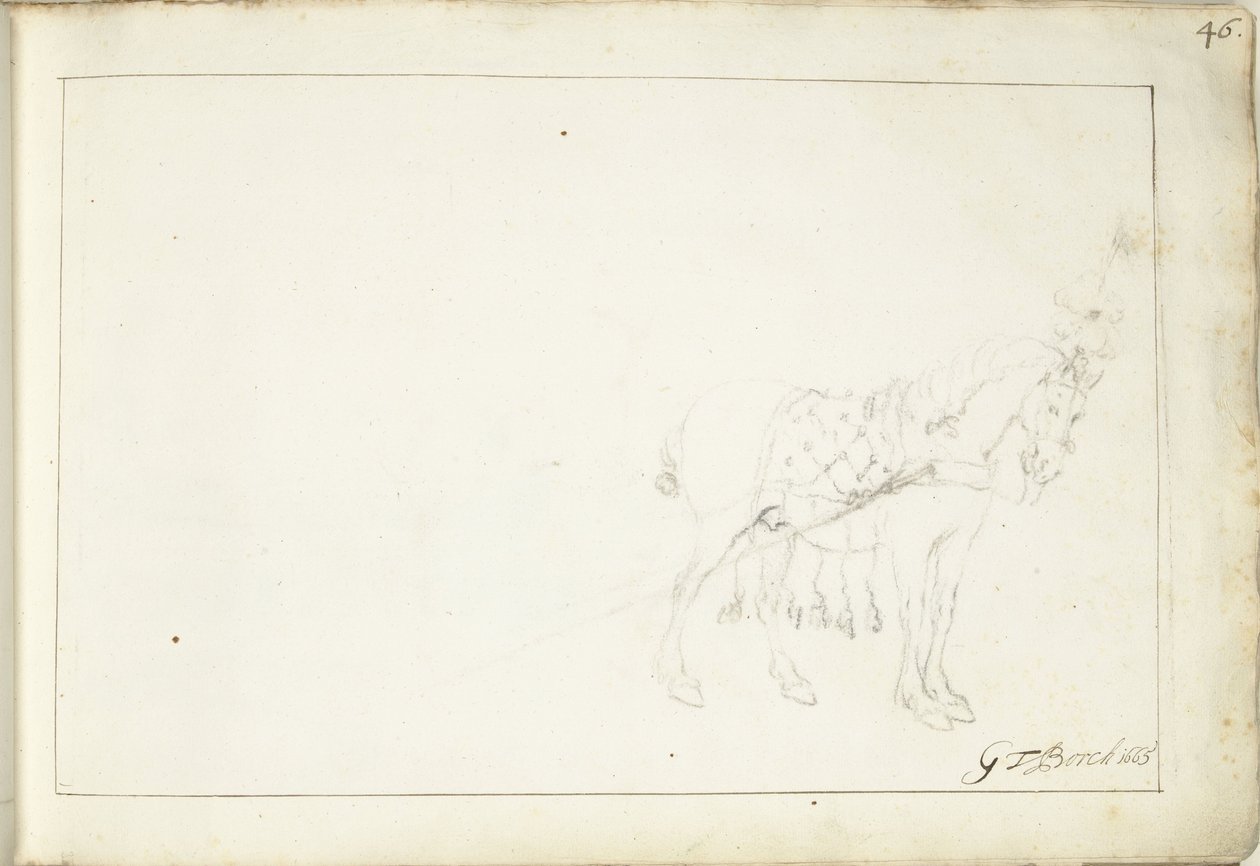Cheval, vers la droite - Gerard ter Borch (II) (signed by artist)