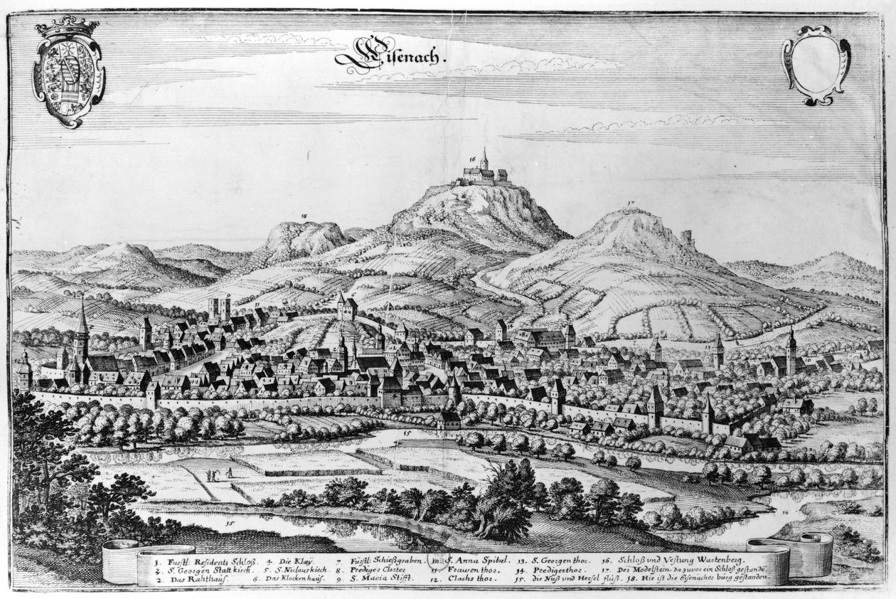 Vue d