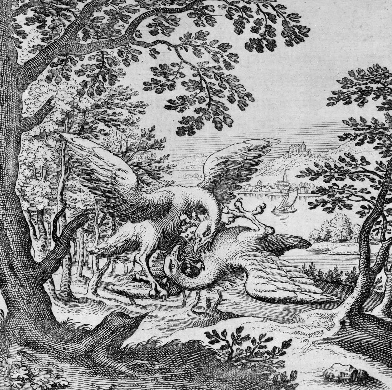 Oiseaux se battant du Musaeum Hermeticum - German School