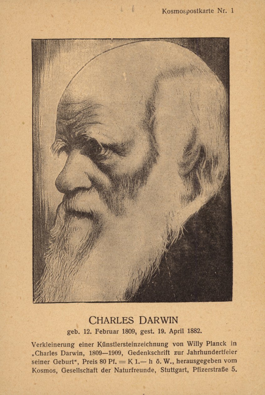 Charles Darwin (1809-1882), naturaliste anglais (litho) - German School
