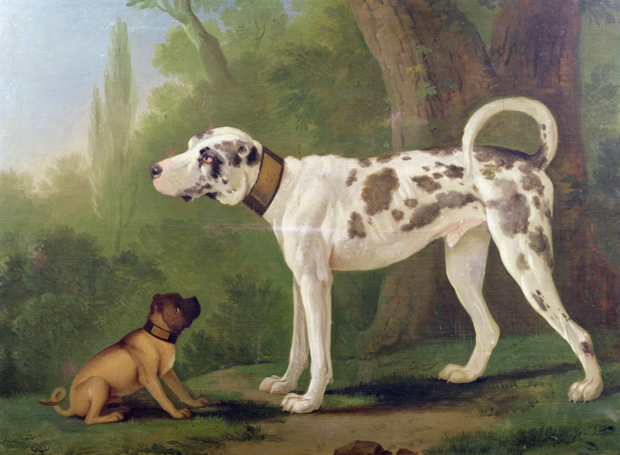 Chien de chasse et terrier - German School