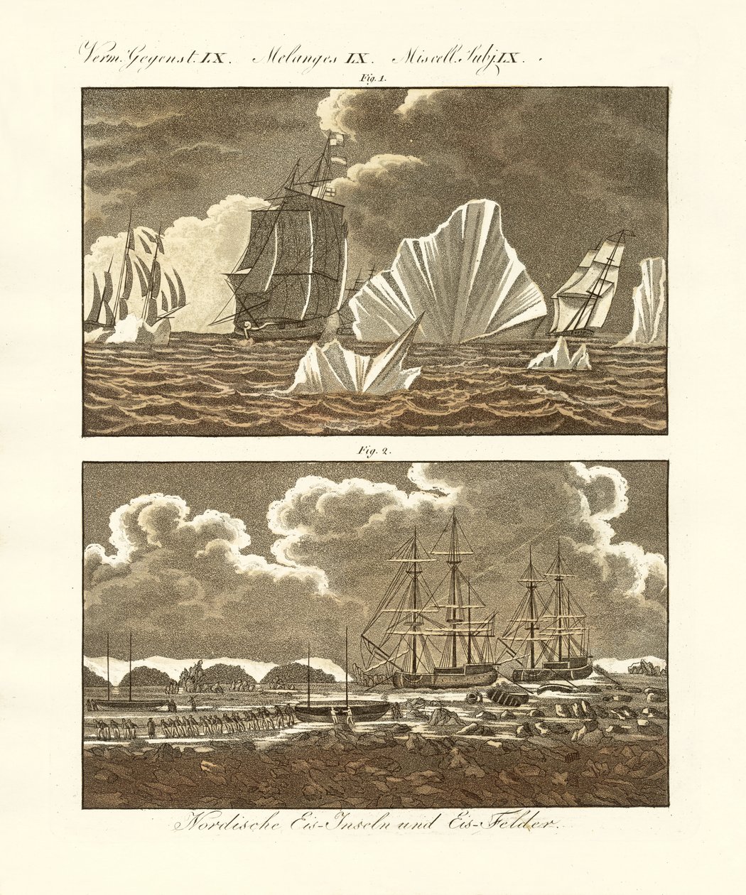 Champs de glace et îles de glace - German School