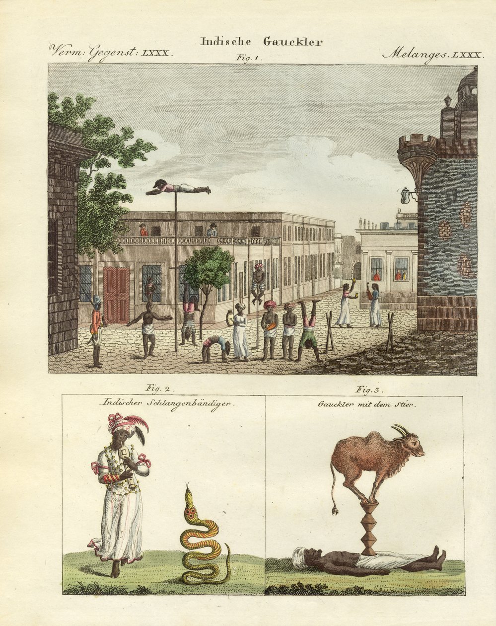 Bateleurs indiens - German School
