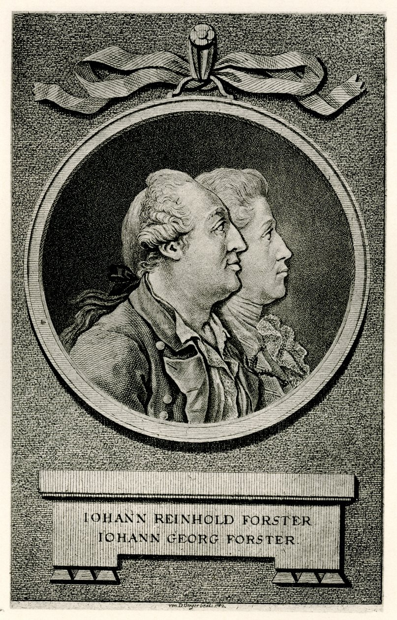 Johann Georg Forster - German School