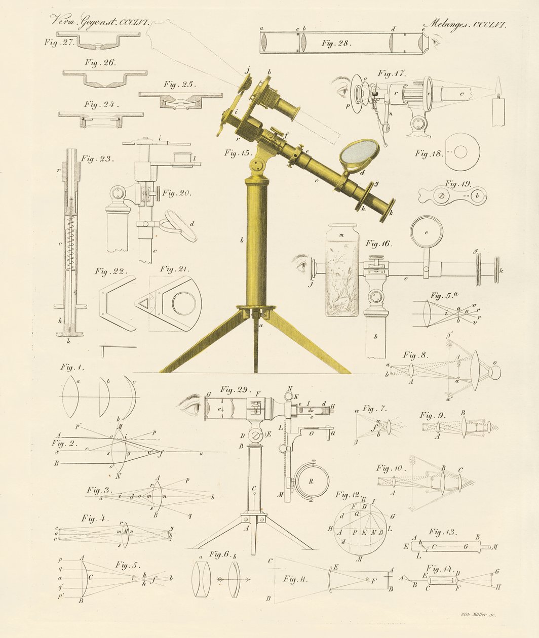 Loupe et amusements microscopiques - German School