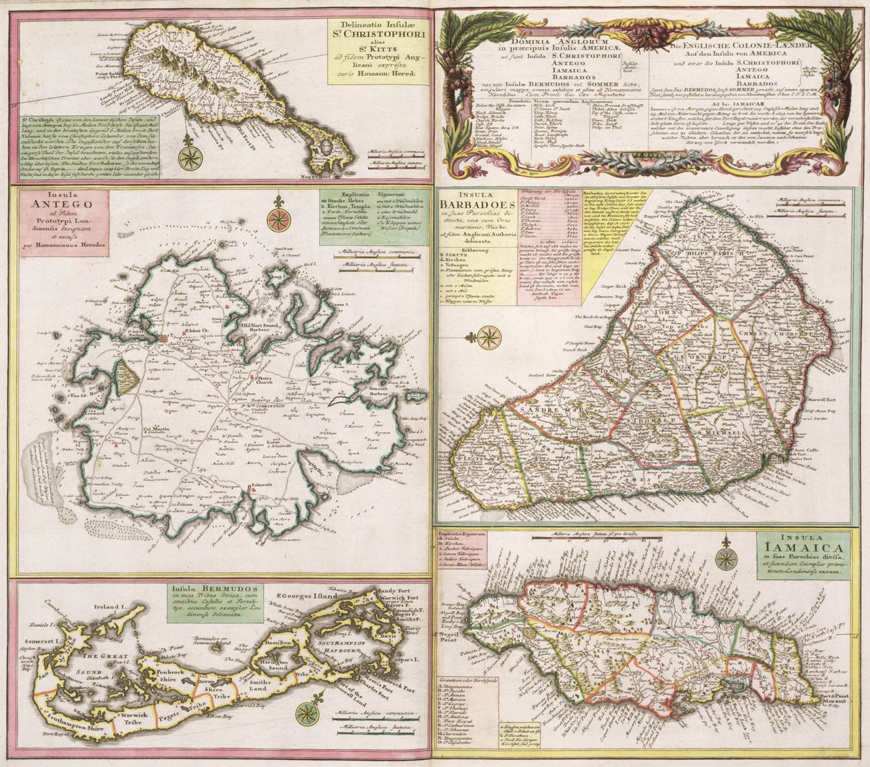 Carte des colonies anglaises dans les Caraïbes, pub. par Homanns Heirs, Nuremberg, c.1750 - German School