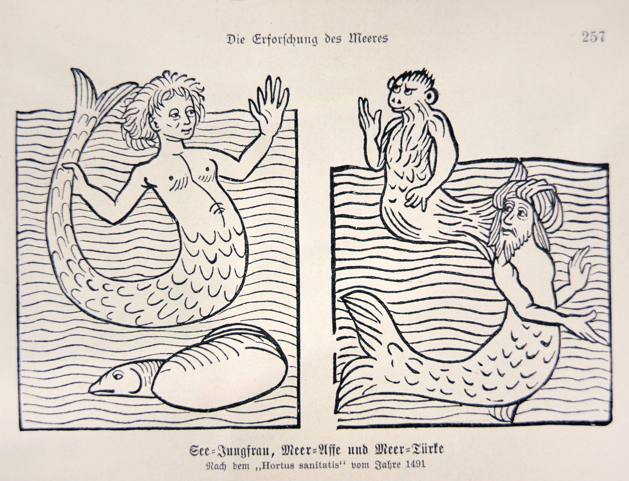 Sirène et triton du 