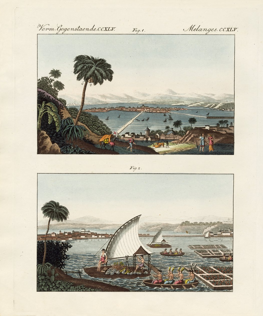 Mexico avec ses décors et jardins flottants (gravure en couleur) - German School