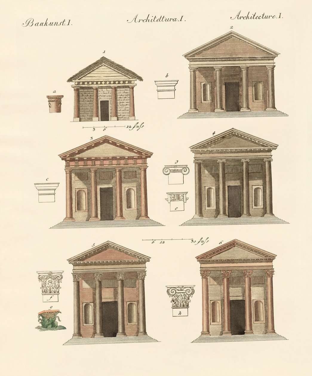 Origine et développement de l