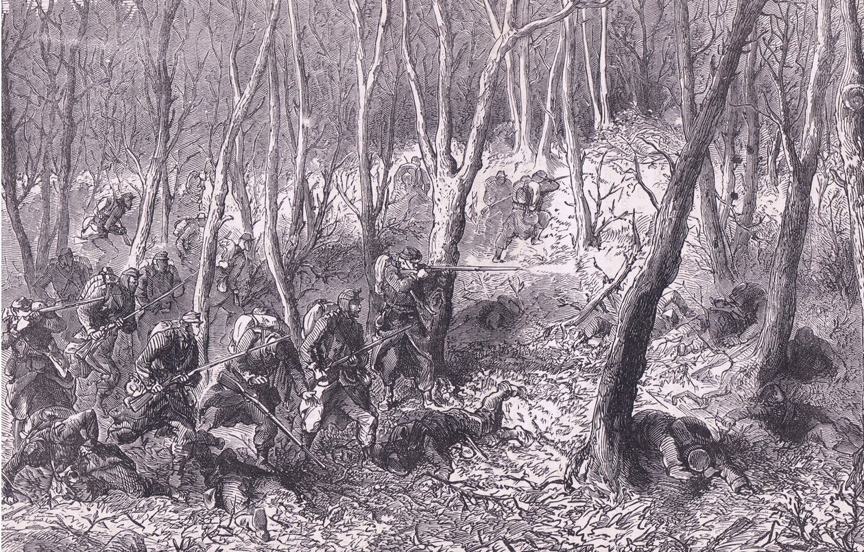Escarmouche dans les bois à l