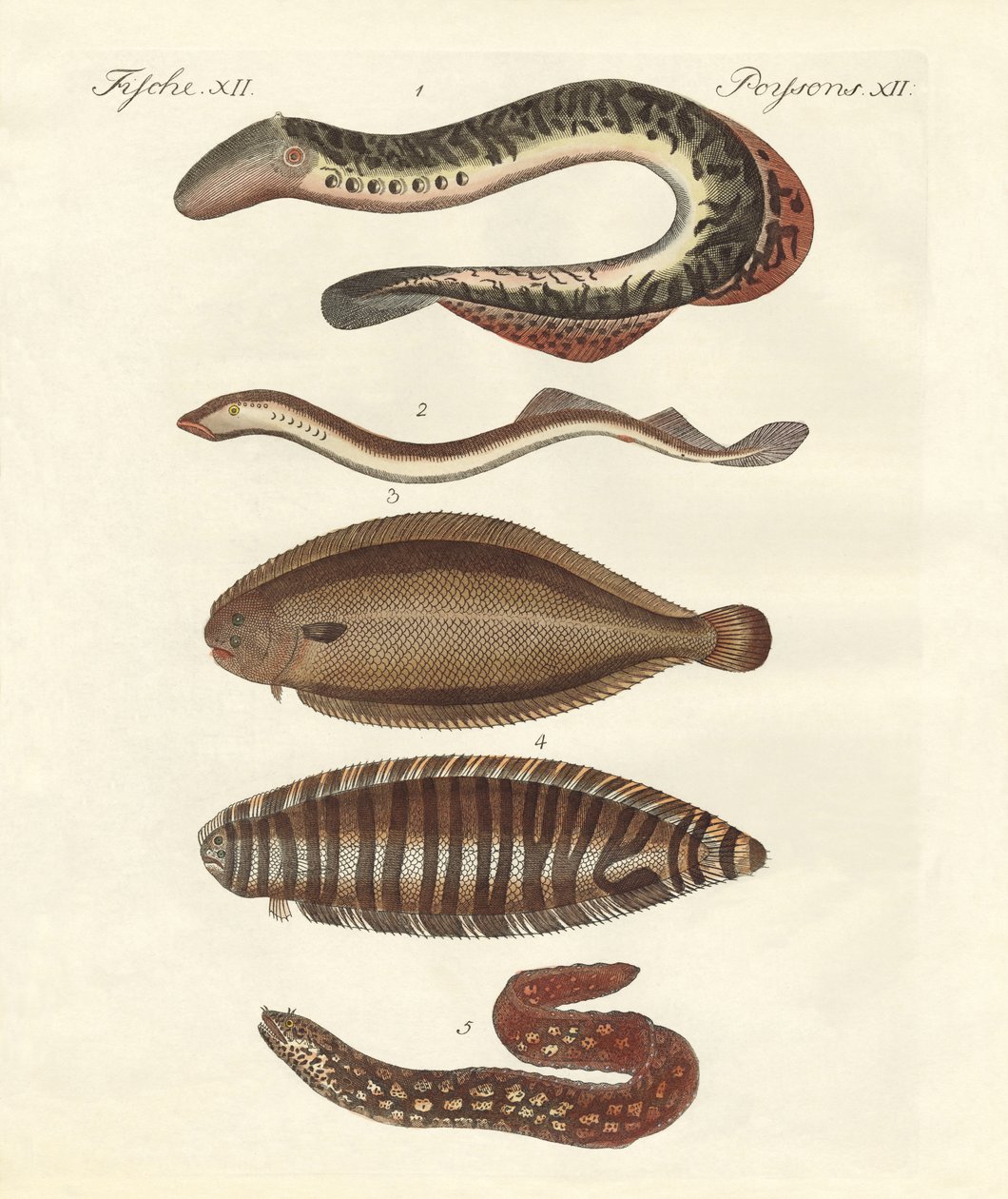 Poissons savoureux - German School