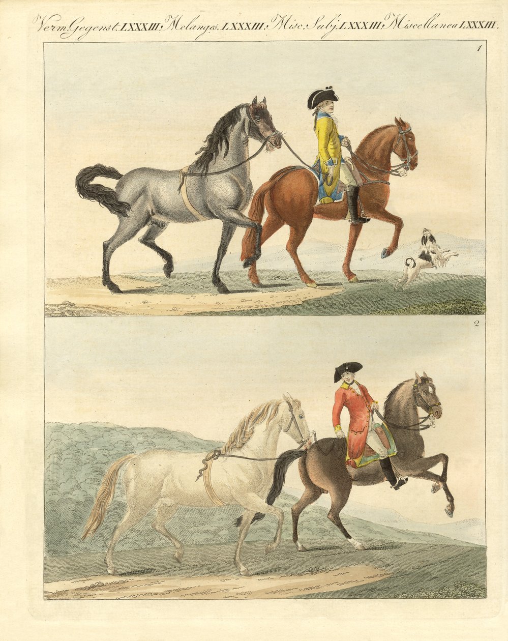 Le cheval avec ses différentes sortes - German School