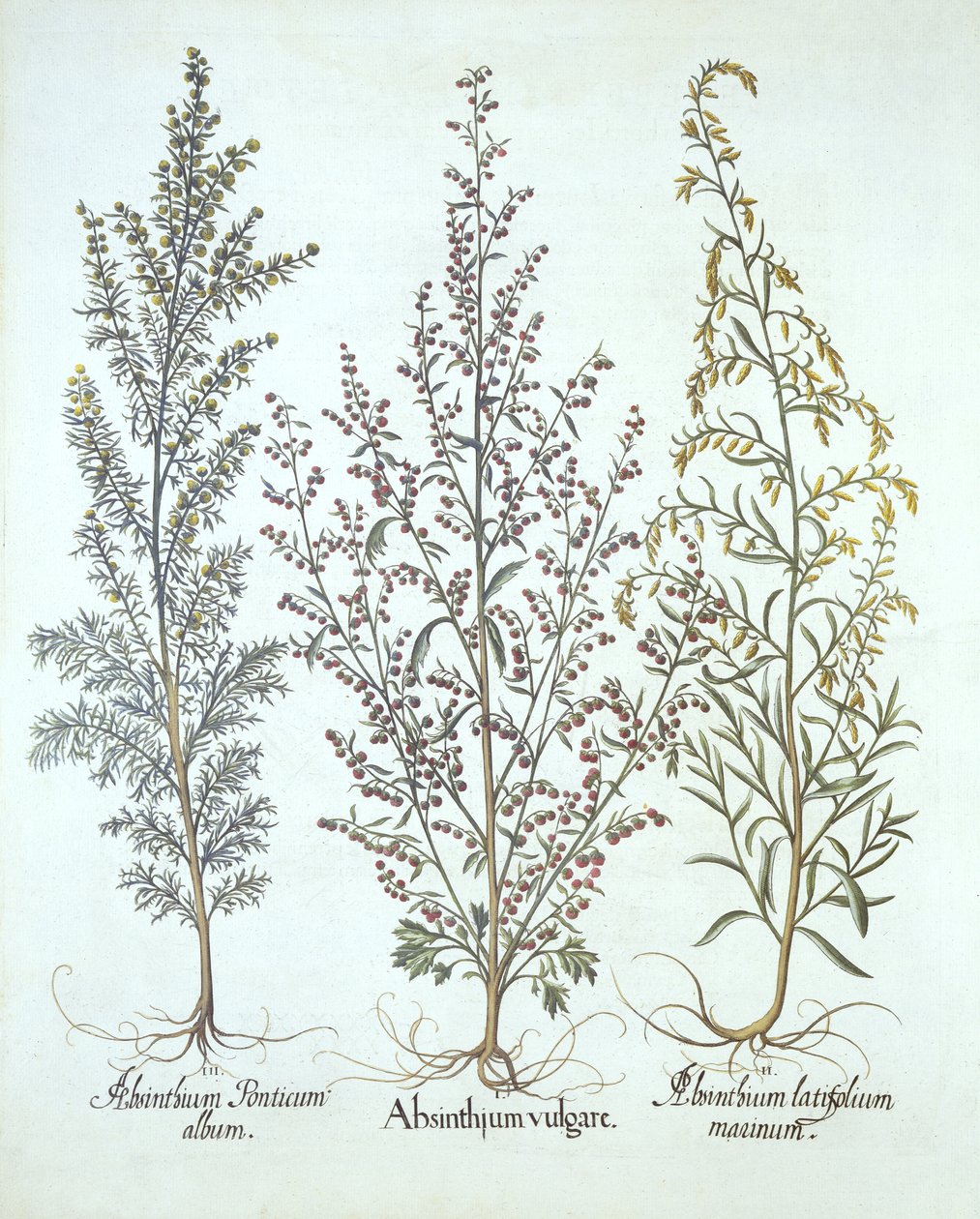 Variations d