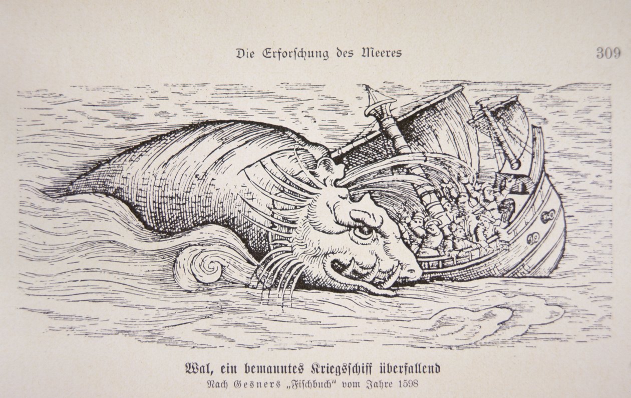 Baleine attaquant un navire - German School