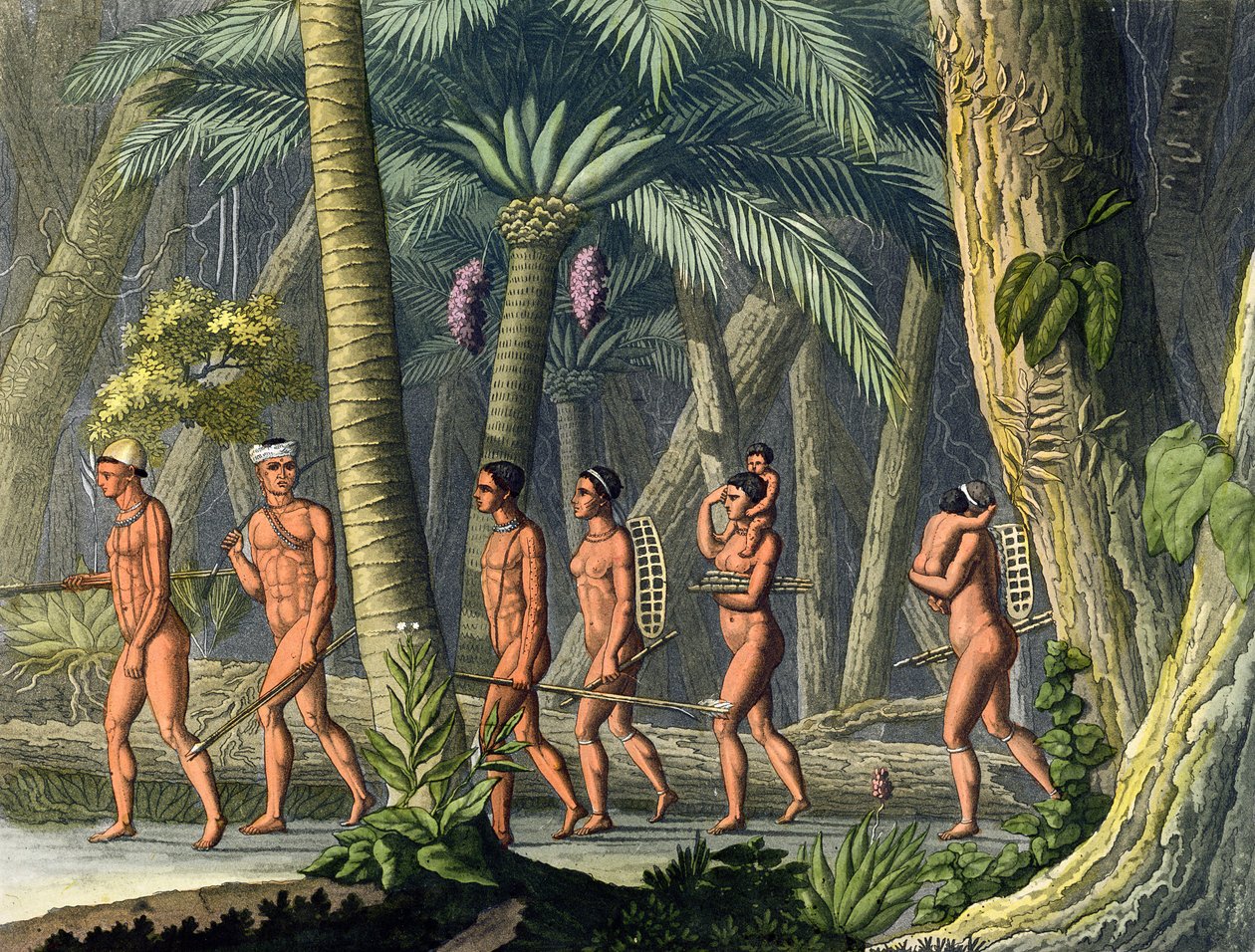 Tribus Puri amérindiennes dans leur forêt, de 