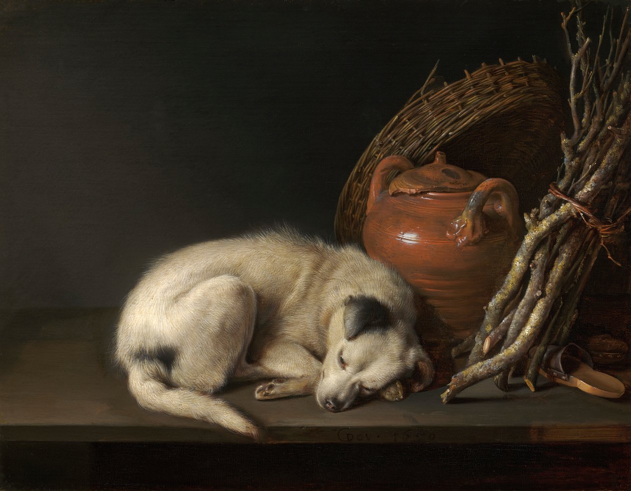 Un chien qui dort - Gerrit Dou