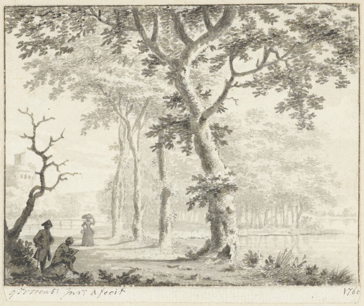 Arbres au bord de l