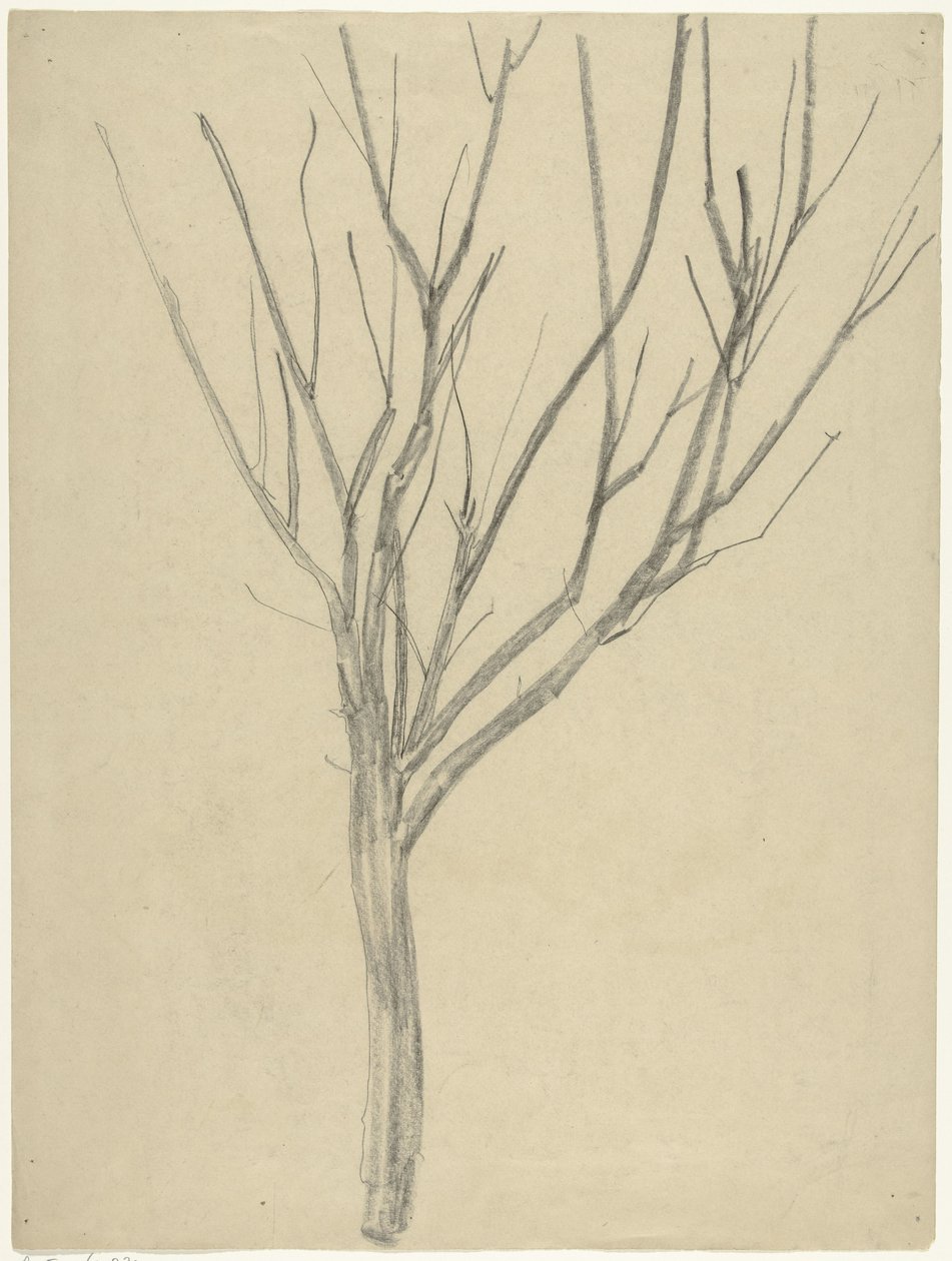Arbre nu - Gerrit Willem Dijsselhof