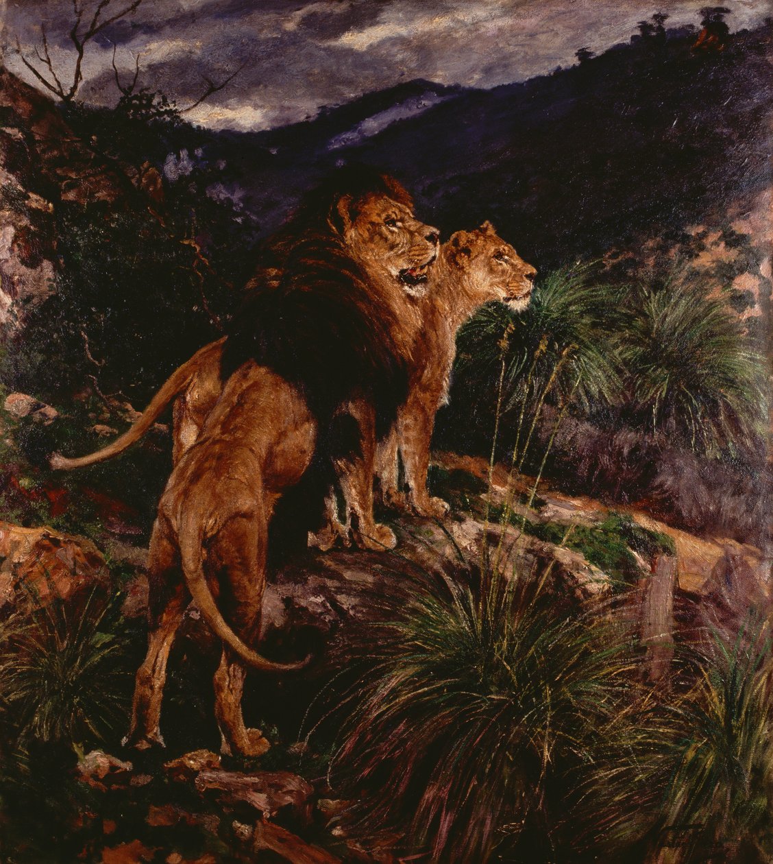 Lions en chasse - Geza Vastagh
