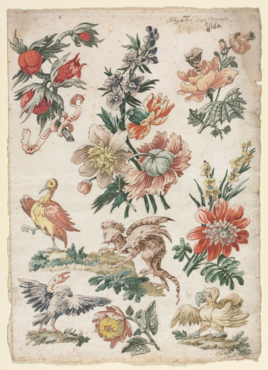 Motifs floraux avec oiseaux et griffon, 1784 - Giacomo Cavenezia
