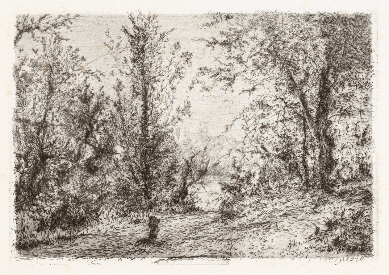 Forêt sur le Lac Majeur - Giberto Borromeo